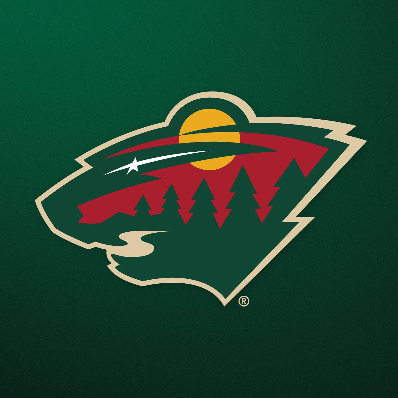 Minnesota Wild vs. Dallas