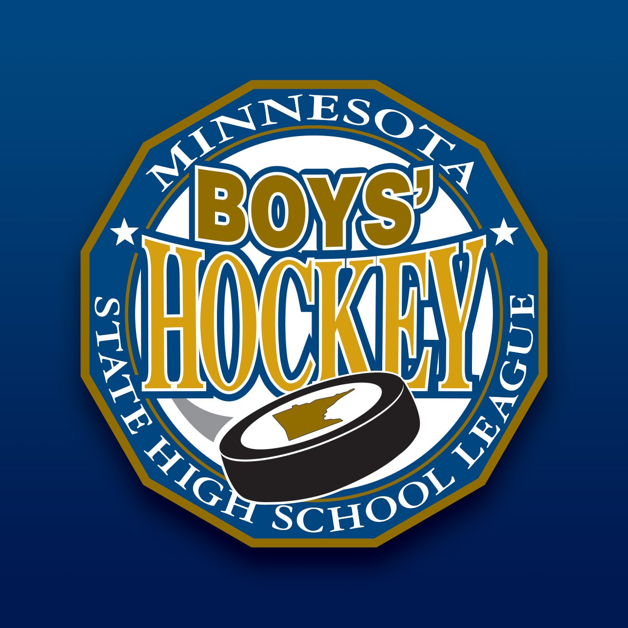 MSHSL Boys Hockey 