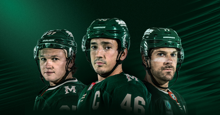 More Info for Minnesota Wild vs. St. Louis