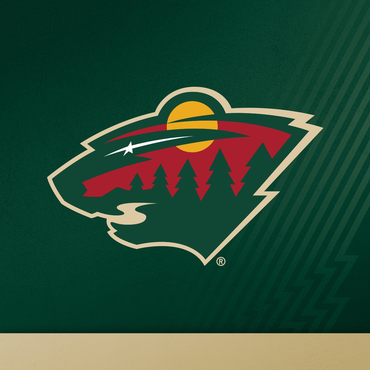 Minnesota Wild vs. Detroit