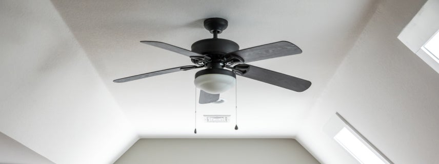 Be fan-friendly