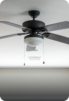 Be fan-friendly